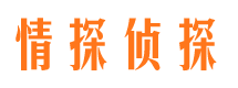 京山侦探公司